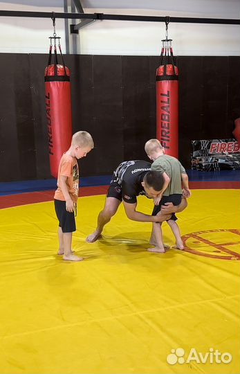 Смешанные единоборства