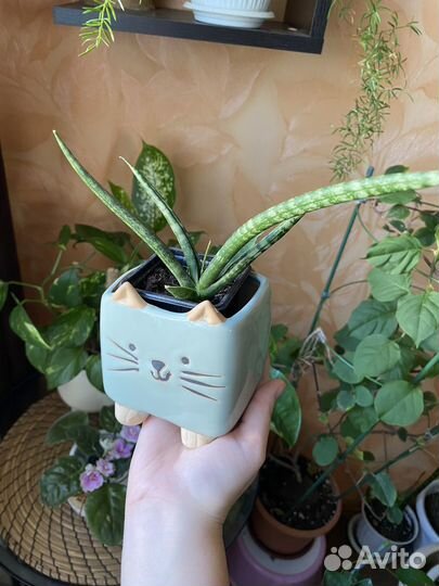 Кашпо керамическое для цветов