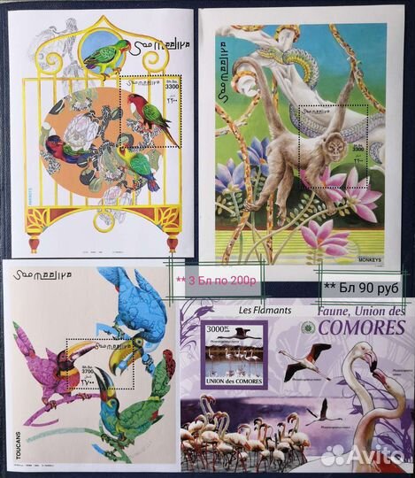 Подборка 21 Птицы