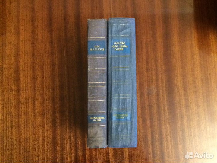 Библиотека поэта