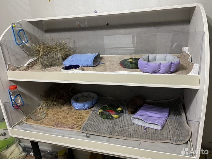 Стеллаж для морской свинки