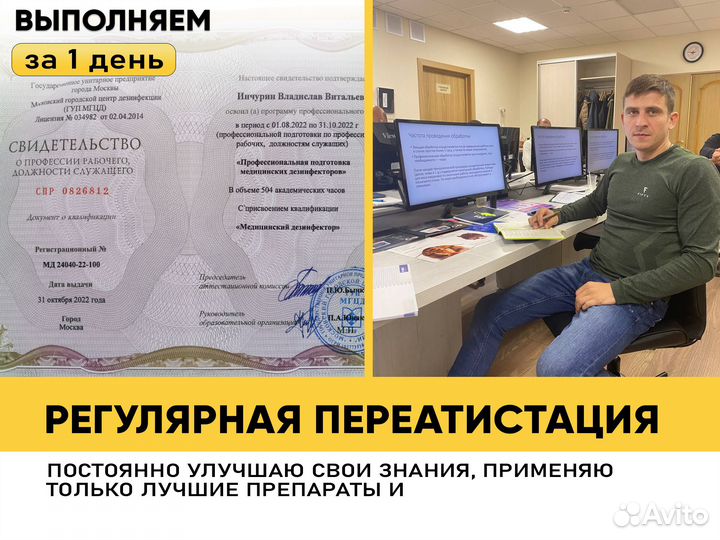 Уничтожение клопов, тараканов. Дезинфекция