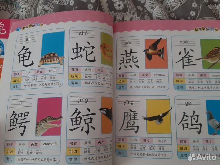 Китайские книги