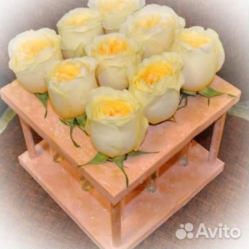 Цветы в пробирках