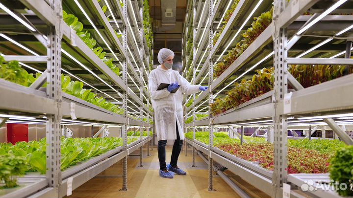 Сотрудник по уходу за зеленью в Хабаровске