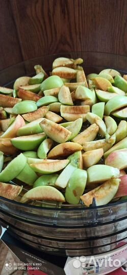 Местные яблоки 2023г