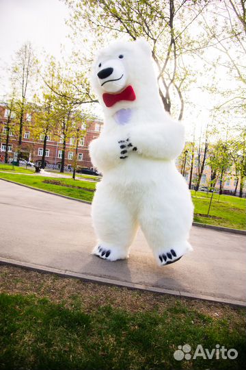 Белый Мишка и Панда. Поздравления