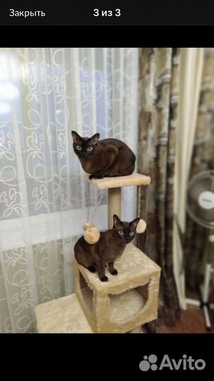 Изготовление домиков для кошек и когтеточек