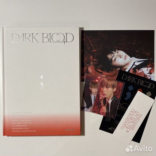 Альбом enhypen dark blood sunoo сону