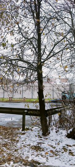 Квартира-студия, 16,9 м², 5/5 эт.