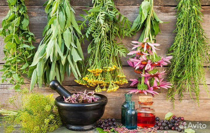 Сбор антимикозного действия