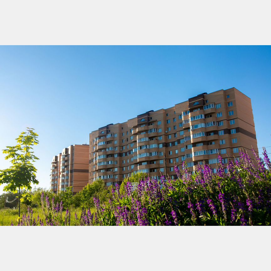 2-к. квартира, 59,1 м², 9/9 эт.