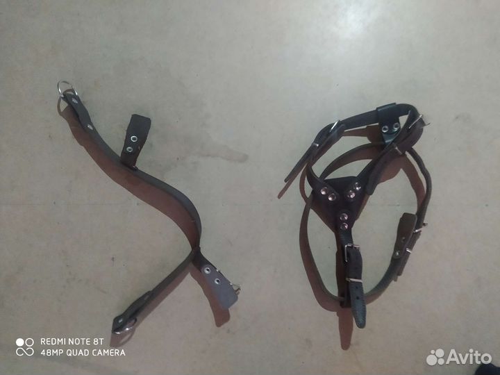 Шлея для собак