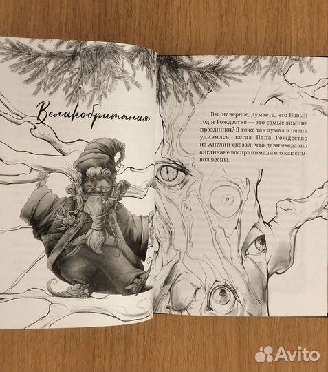 Алёна Белянина. Легенды декабря