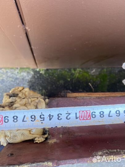 Дверь входная железная бу