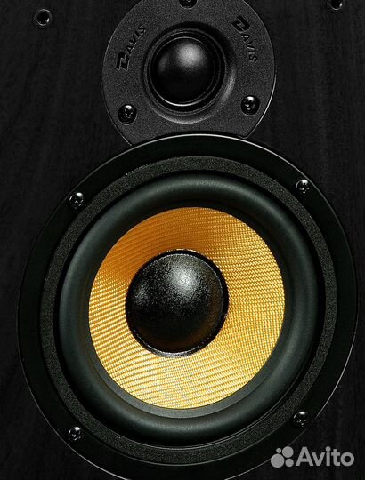 Полочная акустика Davis Acoustics Eva walnut