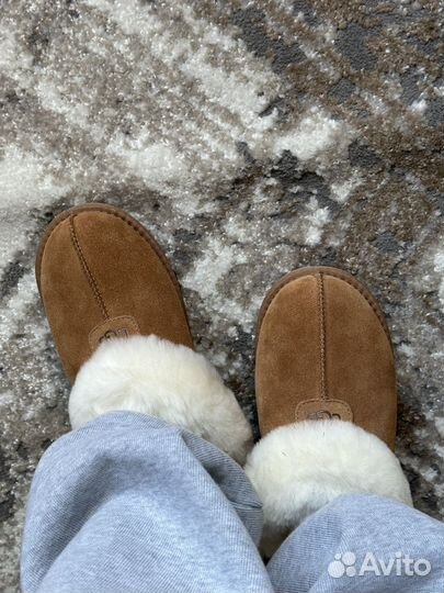 Меховые тапочки ugg