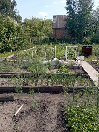 Дача 14 м² на участке 5 сот.