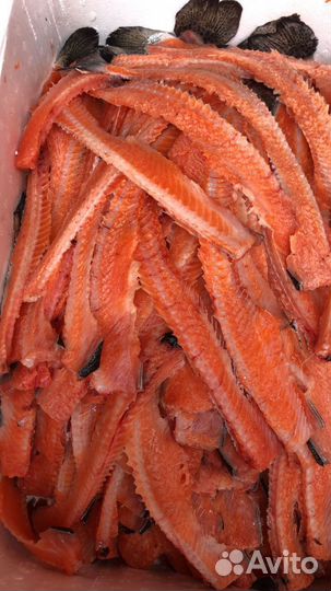 Мясо обрези для собак