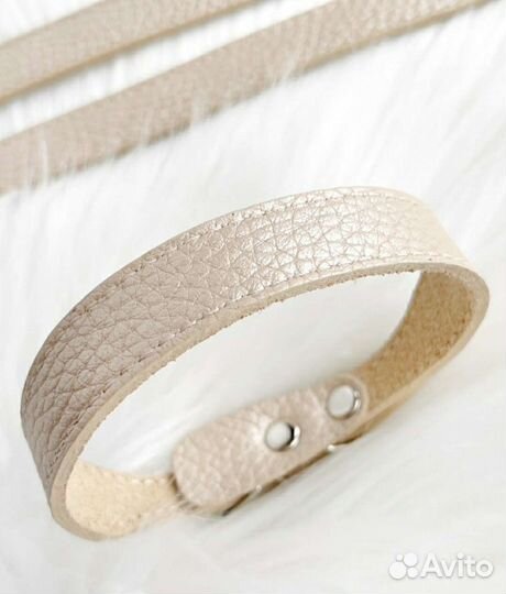 Ошейник для собак