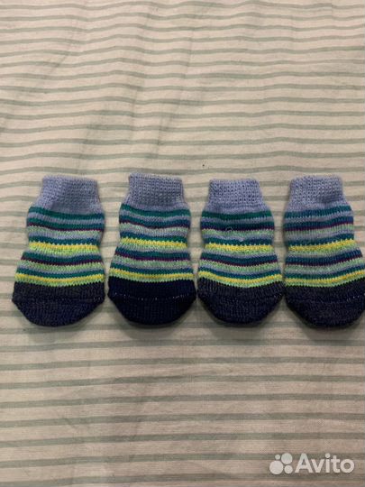 Носочки для щенка