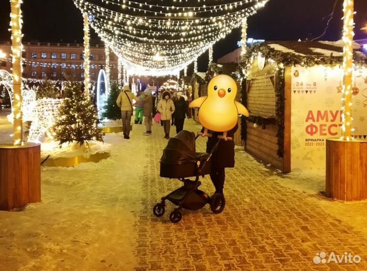 Коляска 2 в 1