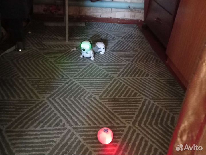 Робот Собака