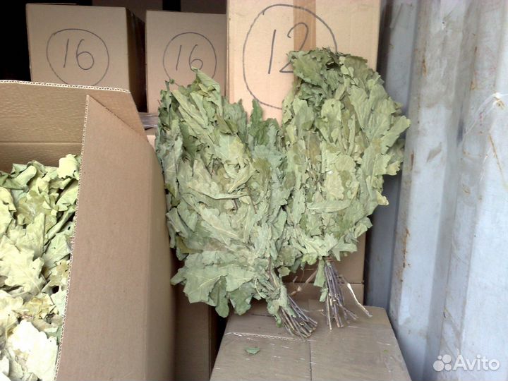 Банные веники