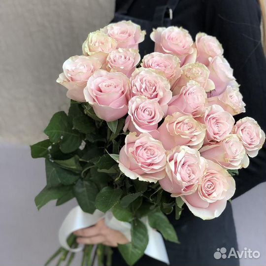 Роза Pink mondial 80 см