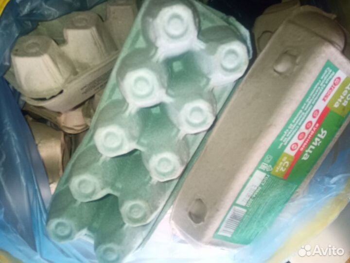 Тара для яиц