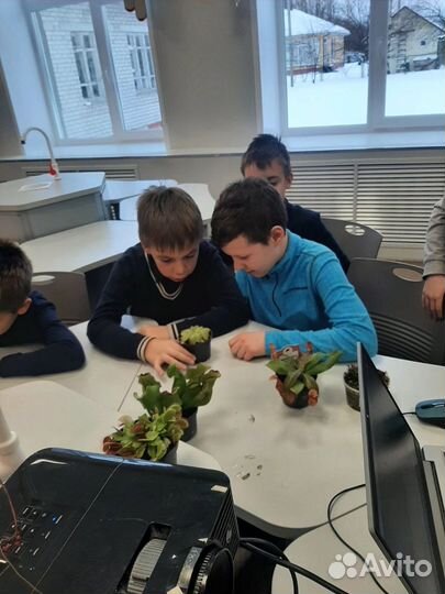 Мастер классы с хищными растениями