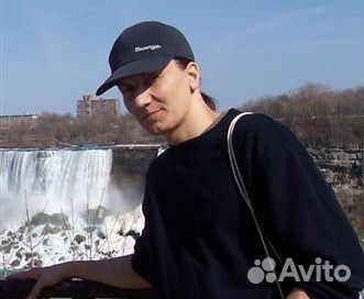 Web программист