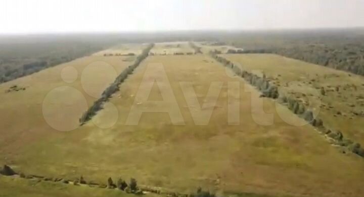 Участок 100 сот. (СНТ, ДНП)