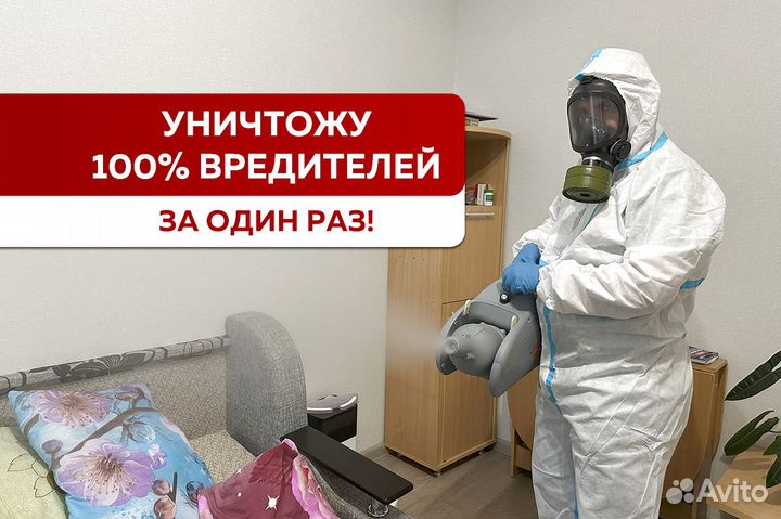 Уничтожение тараканов клопов мышей крыс