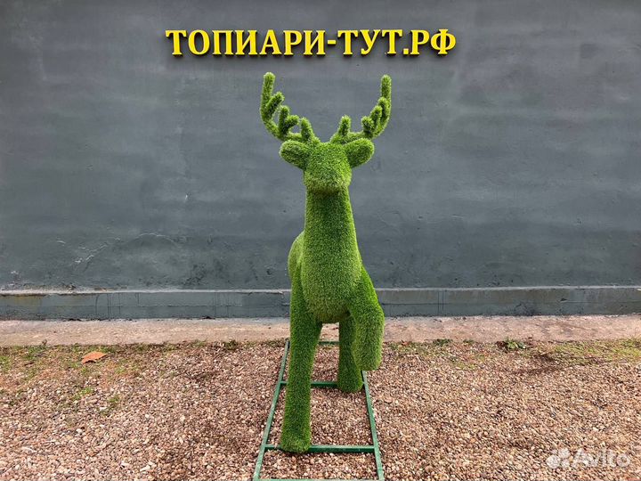 Топиари Топиарные фигуры Садовые фигуры