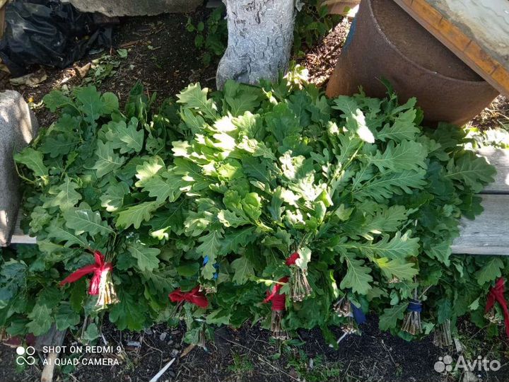 Веники для бани