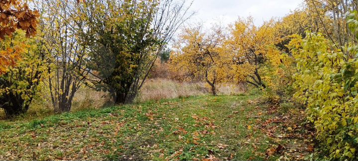 Дом 32 м² на участке 50 сот.