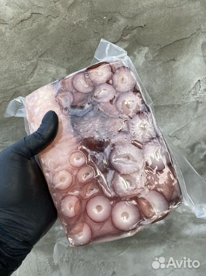 Осьминог свежемороженный / доставка на дом
