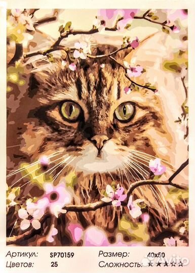 Картины по номерам новые 40*50см Paintboy