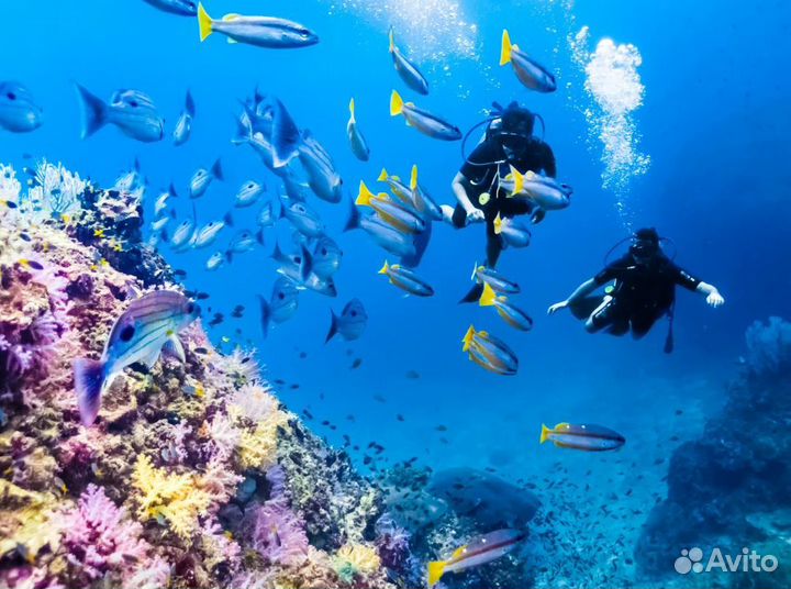 Тур путевка Пхукет 9 ночей завтраки