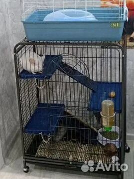 Клетка для грызунов большая