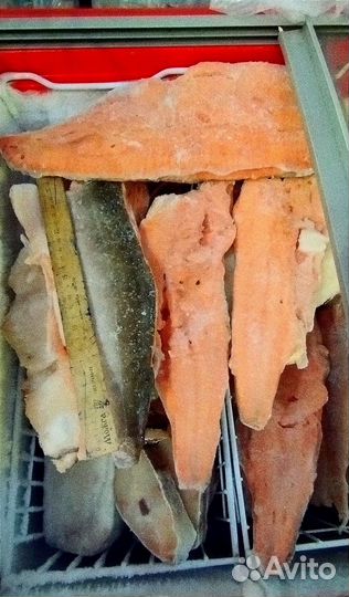 Горбуша см, филе горбуши