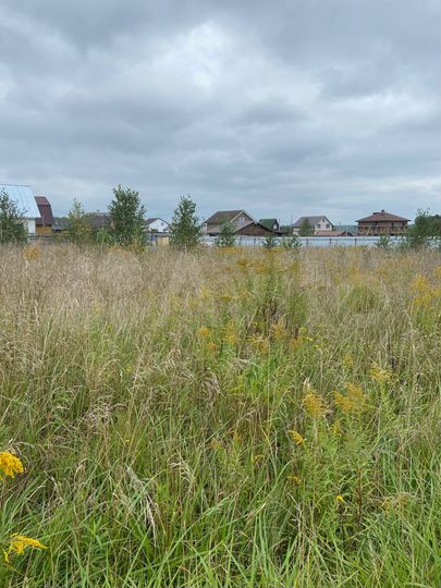 Участок 9 сот. (СНТ, ДНП)