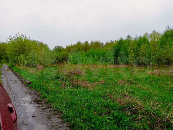 Участок 40 сот. (ИЖС)