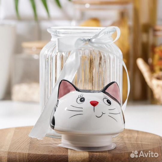 Банка стеклянная для сыпучих продуктов Доляна «Кот