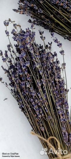 Лаванда саше