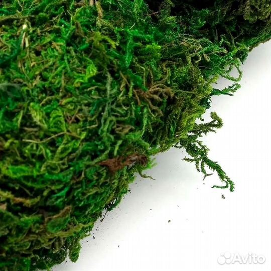 Мох натуральный стабилизированный для декора 3м.кв