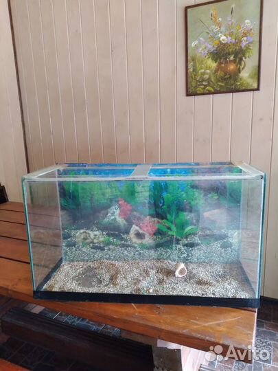 Аквариум