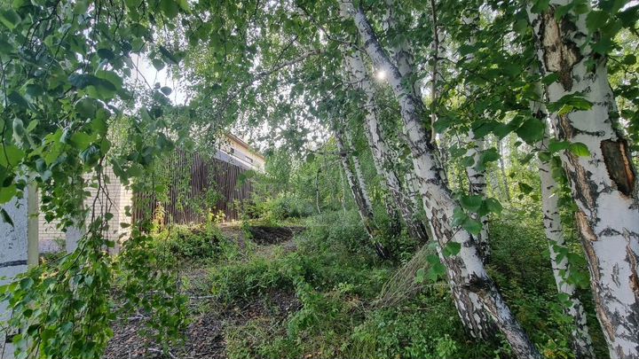 Участок 29 сот. (ИЖС)