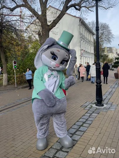 Экспресс поздравление